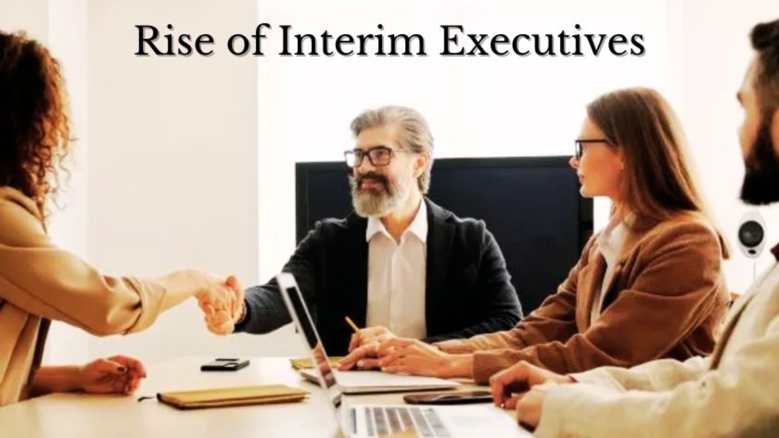 interim executive