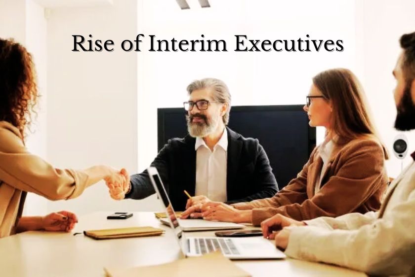 interim executive