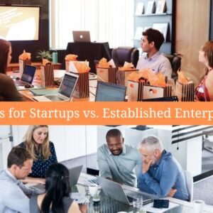 cfo for starups vs established enterprises