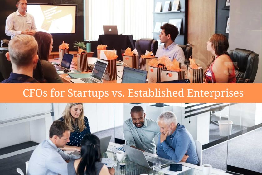 cfo for starups vs established enterprises